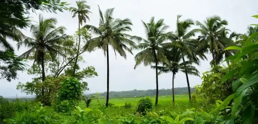 Luxury Villas in Goa by Isprava