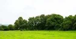 Luxury Villas in Goa by Isprava