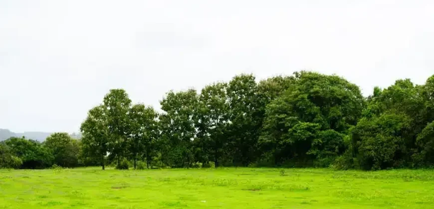 Luxury Villas in Goa by Isprava