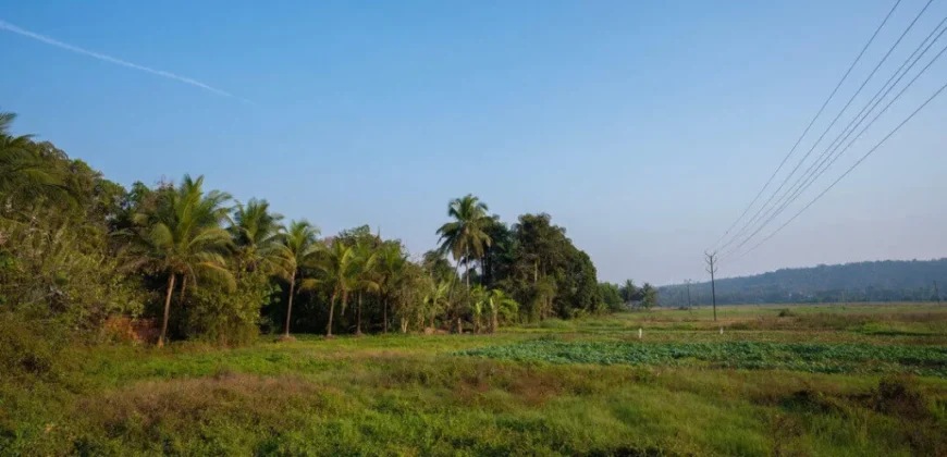 Luxury Villas in Goa by Isprava