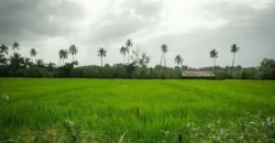 Luxury Villas in Goa by Isprava