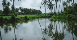 Luxury Villas in Goa by Isprava