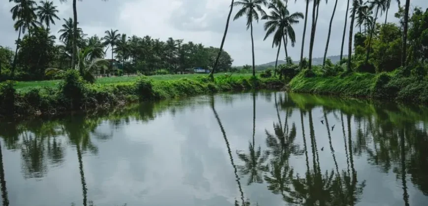 Luxury Villas in Goa by Isprava