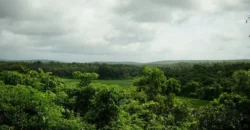 Luxury Villas in Goa by Isprava