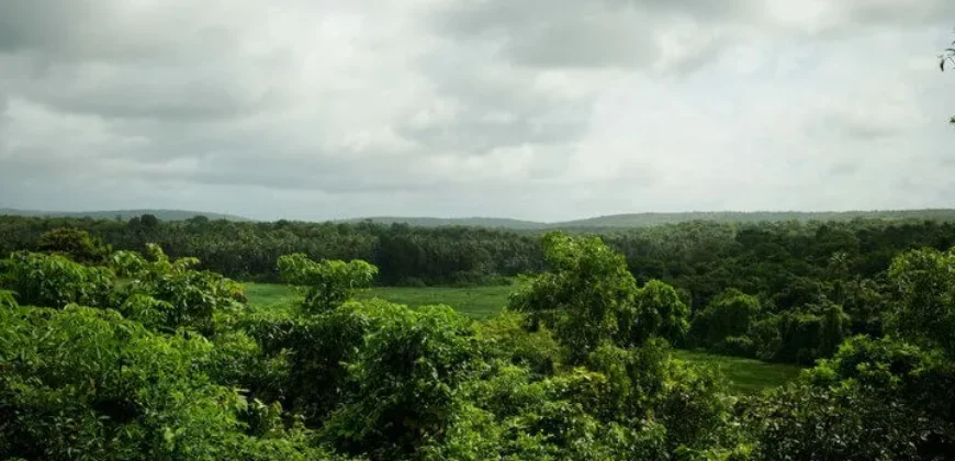 Luxury Villas in Goa by Isprava