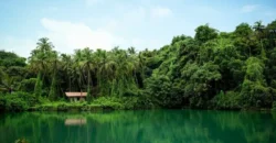 Luxury Villas in Goa by Isprava