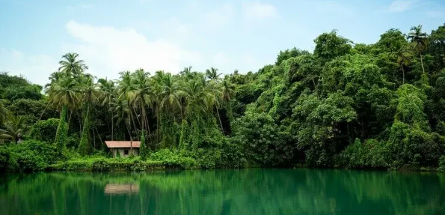 Luxury Villas in Goa by Isprava